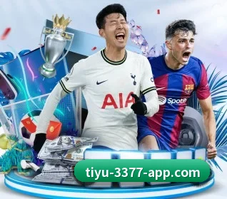 五大服务分区,信息按项目分类 - 3377Sports