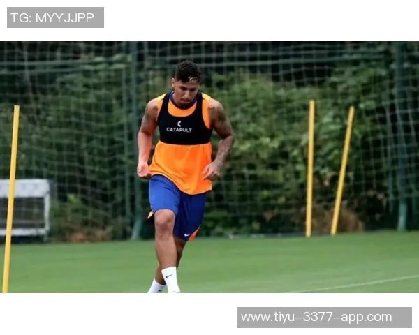 米兰左后卫埃斯图皮尼安国家队受伤脚踝伤势待评估